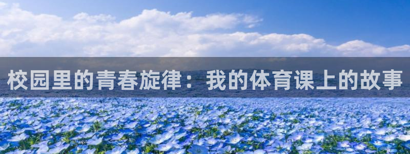 球客岛
