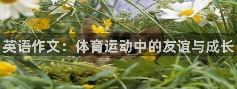 球客岛