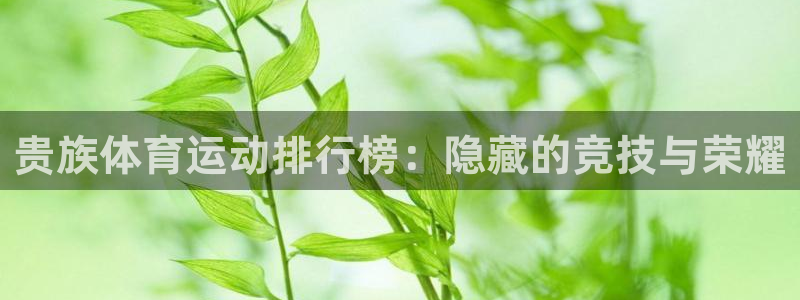 球客岛：贵族体育运动排行榜：隐藏的竞技与荣耀