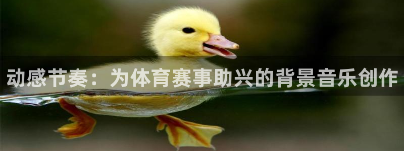 球客岛：动感节奏：为体育赛事助兴的背景音乐创作