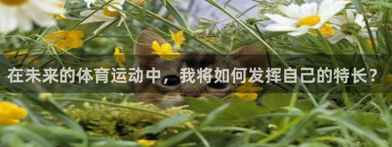 球客岛