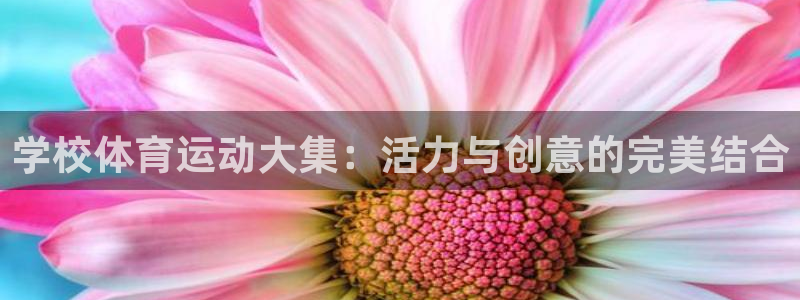 球客岛