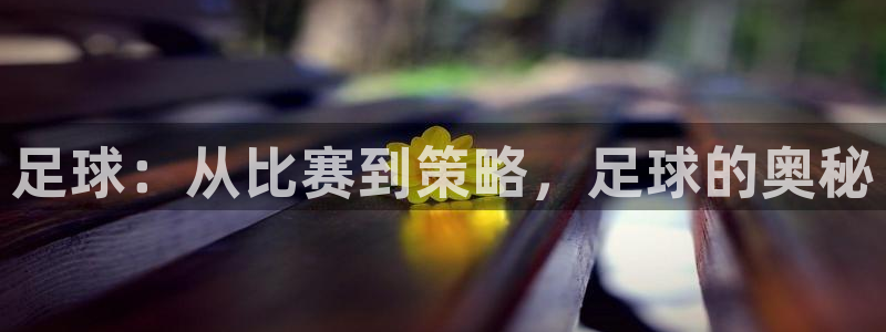 球客岛